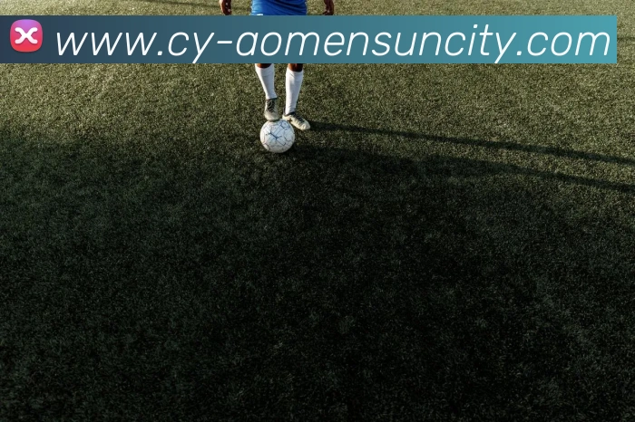 多媒体互动体验